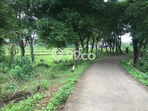 Tanah Kavling Dijual di Cikarang, Bekasi dengan Luas Tanah 3722m2 Tanah Kavling Dijual di Cikarang, Bekasi dengan Luas Tanah 3722m2