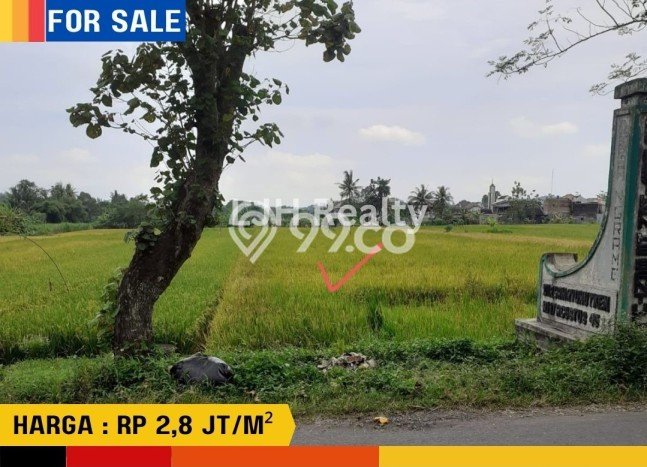 Jarang Ada! Tanah di Kasihan Punya Luas 3400m2 SHM Jarang Ada! Tanah di Kasihan Punya Luas 3400m2 SHM