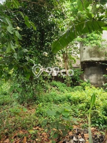 Lahan Investasi Lokasi Ngaglik Sleman SHM Lahan Investasi Lokasi Ngaglik Sleman SHM