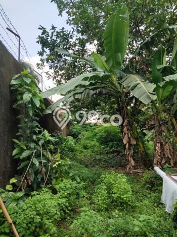 Lahan Investasi Lokasi Ngaglik Sleman SHM Lahan Investasi Lokasi Ngaglik Sleman SHM
