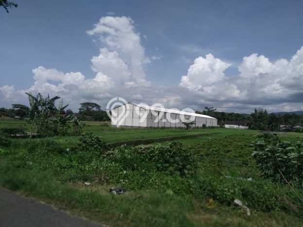 Gudang Dijual di Sewon Bantul dengan Luas Bangunan 1800m2 Gudang Dijual di Sewon Bantul dengan Luas Bangunan 1800m2