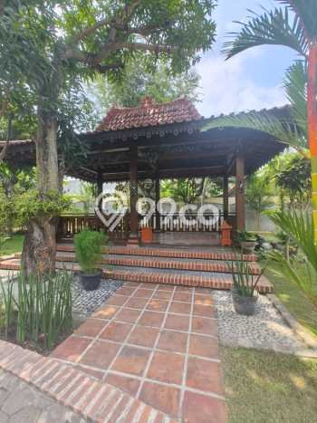 Hot Offer Hunian Premium Ideal dan Luas di Umbulharjo, Yogyakarta Hot Offer Hunian Premium Ideal dan Luas di Umbulharjo, Yogyakarta