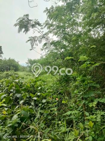 Tanah Siap Bangun Dijual di Bogor Punya Luas 889m2 Tanah Siap Bangun Dijual di Bogor Punya Luas 889m2