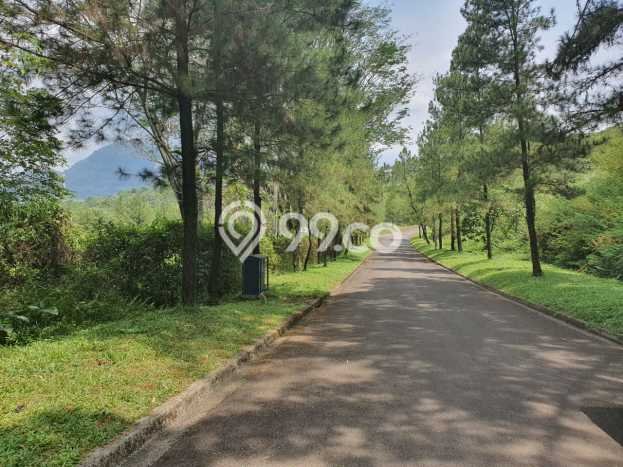 Untuk Dijual Tanah di Bogor, Luas 1663m2 - Untuk Dijual Tanah di Bogor, Luas 1663m2 -