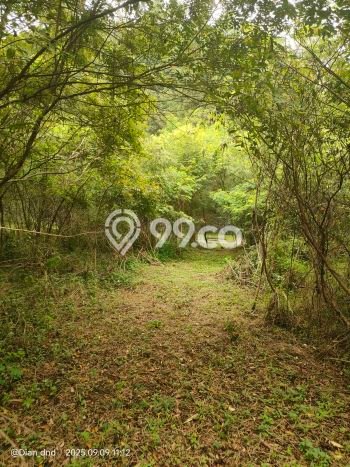 Tanah Siap Bangun Dijual di Bogor Punya Luas 889m2 Tanah Siap Bangun Dijual di Bogor Punya Luas 889m2