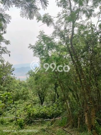 Tanah Siap Bangun Dijual di Bogor Punya Luas 889m2 Tanah Siap Bangun Dijual di Bogor Punya Luas 889m2