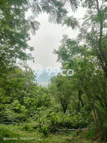 Tanah Siap Bangun Dijual di Bogor Punya Luas 889m2 Tanah Siap Bangun Dijual di Bogor Punya Luas 889m2