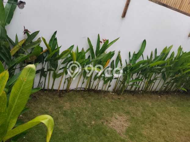 KESEMPATAN EMAS! Vila di , Dimensi 220m2m², Area Berkembang dengan nilai naik KESEMPATAN EMAS! Vila di , Dimensi 220m2m², Area Berkembang dengan nilai naik