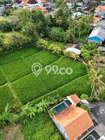 Tanah Dijual Lokasi Strategis di Tabanan dengan Luas 125m2 Tanah Dijual Lokasi Strategis di Tabanan dengan Luas 125m2