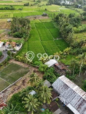 Tanah Dijual Lokasi Strategis di Tabanan dengan Luas 125m2 Tanah Dijual Lokasi Strategis di Tabanan dengan Luas 125m2