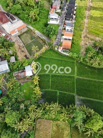 Tanah Dijual Lokasi Strategis di Tabanan dengan Luas 125m2 Tanah Dijual Lokasi Strategis di Tabanan dengan Luas 125m2