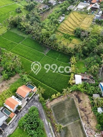 Tanah Dijual Lokasi Strategis di Tabanan dengan Luas 125m2 Tanah Dijual Lokasi Strategis di Tabanan dengan Luas 125m2