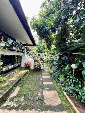 Jual Rumah Luas Elegan Dengan View Cantik di Kemang, Jakarta Selatan Jual Rumah Luas Elegan Dengan View Cantik di Kemang, Jakarta Selatan