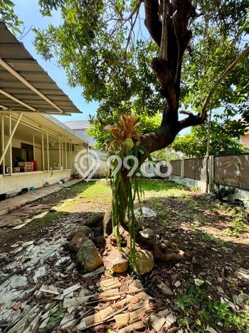 Untuk Dijual Tanah di Cilandak Jakarta Selatan Luas 427m2 SHM Untuk Dijual Tanah di Cilandak Jakarta Selatan Luas 427m2 SHM