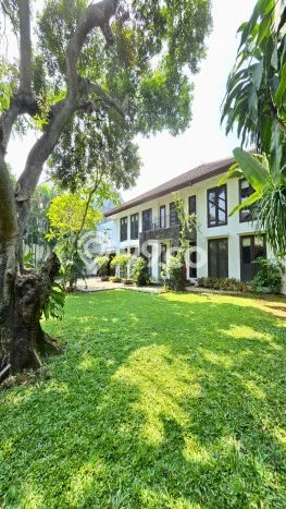 Sewa Rumah Strategis di Kemang LT 1200m2 / LB 650m2 Siap Huni Sewa Rumah Strategis di Kemang LT 1200m2 / LB 650m2 Siap Huni