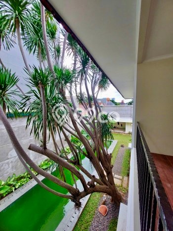 Siap Huni Rumah Mewah 3 Kamar di Kebayoran Baru Dekat ke Mana Pun Siap Huni Rumah Mewah 3 Kamar di Kebayoran Baru Dekat ke Mana Pun