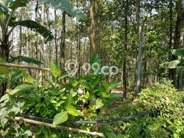 Dijual Tanah 77m2 di Bandung Timur, Bandung Dijual Tanah 77m2 di Bandung Timur, Bandung