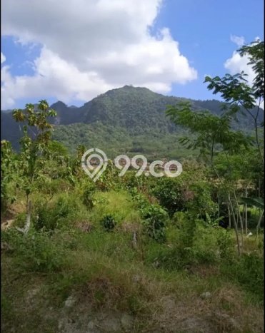 Tanah Kosong Dijual di Jepara dengan Area 218494m2 Tanah Kosong Dijual di Jepara dengan Area 218494m2