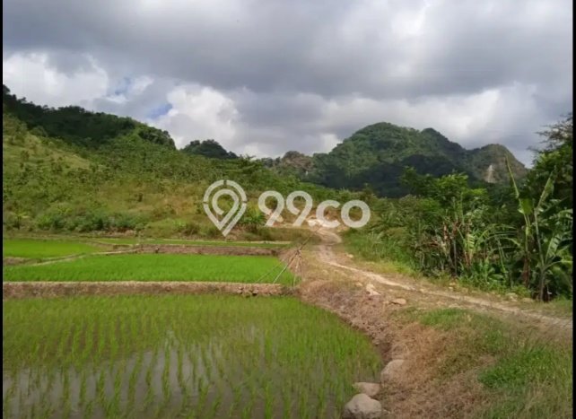 Tanah Kosong Dijual di Jepara dengan Area 218494m2 Tanah Kosong Dijual di Jepara dengan Area 218494m2