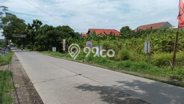 HARGA MENARIK! Tanah Kawasan Sayung, Luas 1512m², Area Asri, Bebas Banjir HARGA MENARIK! Tanah Kawasan Sayung, Luas 1512m², Area Asri, Bebas Banjir