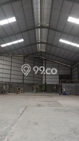 Gudang Bagus Dijual di Tambakaji Semarang Strategis Cocok untuk Kembangkan Bisnis Gudang Bagus Dijual di Tambakaji Semarang Strategis Cocok untuk Kembangkan Bisnis