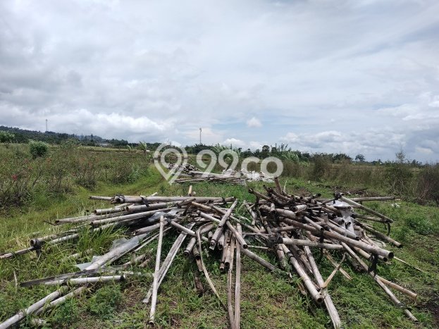 Tanah Dijual Lokasi Bandungan, Semarang dengan Luas Tanah 1290m2 dan Status SHM Tanah Dijual Lokasi Bandungan, Semarang dengan Luas Tanah 1290m2 dan Status SHM