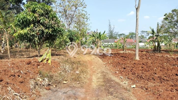 AREA PROSPEKTIF! Tanah Kawasan Tembalang, Luas 200m2m², Dekat Transportasi AREA PROSPEKTIF! Tanah Kawasan Tembalang, Luas 200m2m², Dekat Transportasi