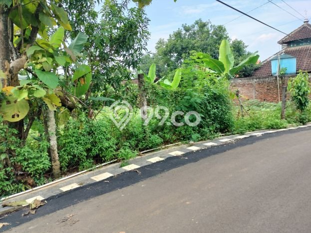 LOKASI PREMIUM! Tanah di Banyumanik, Luas 1127m2m², Cocok untuk Investasi LOKASI PREMIUM! Tanah di Banyumanik, Luas 1127m2m², Cocok untuk Investasi