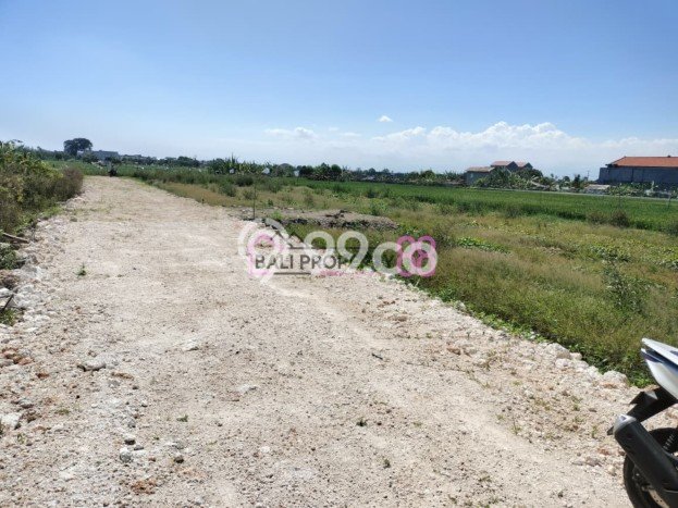 Tanah Strategis Dijual di Denpasar Barat Denpasar 338m2 Tanah Strategis Dijual di Denpasar Barat Denpasar 338m2