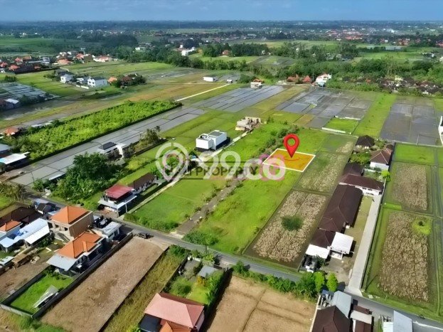Untuk Dijual Tanah di Tabanan, Luas 500m2 SHM Untuk Dijual Tanah di Tabanan, Luas 500m2 SHM