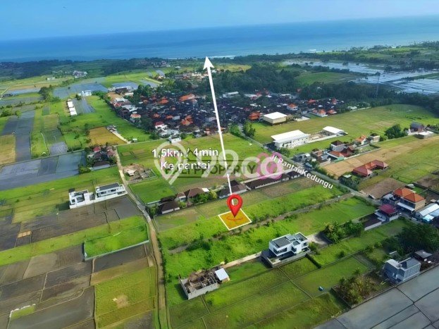 Untuk Dijual Tanah di Tabanan, Luas 500m2 SHM Untuk Dijual Tanah di Tabanan, Luas 500m2 SHM