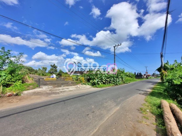 Untuk Dijual Tanah di Tabanan, Luas 500m2 SHM Untuk Dijual Tanah di Tabanan, Luas 500m2 SHM