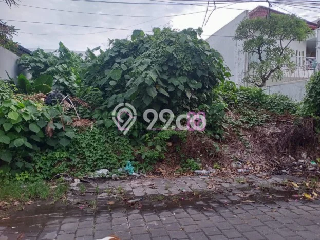 Kavling Tanah untuk Dijual di Kerobokan Kelod, Badung, Luas 240m2 Kavling Tanah untuk Dijual di Kerobokan Kelod, Badung, Luas 240m2