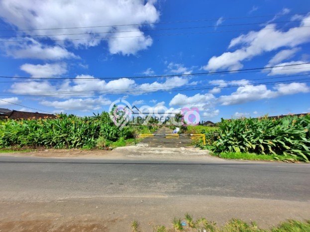 Untuk Dijual Tanah di Tabanan, Luas 500m2 SHM Untuk Dijual Tanah di Tabanan, Luas 500m2 SHM