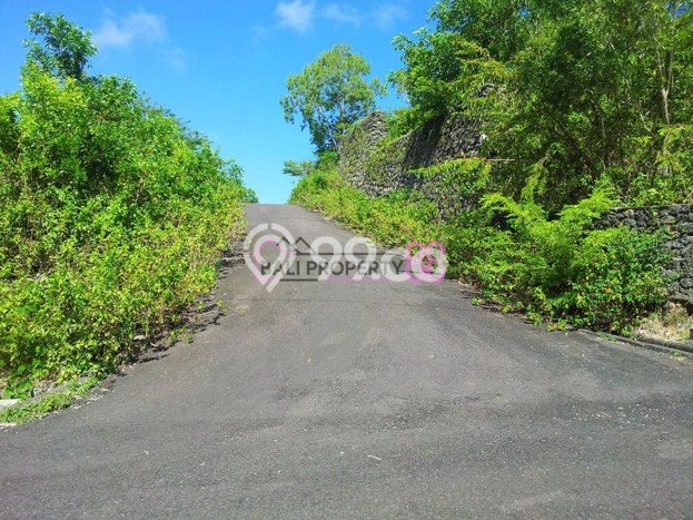 Tanah Dijual Lokasi Strategis di Badung dengan Luas 513m2 Tanah Dijual Lokasi Strategis di Badung dengan Luas 513m2