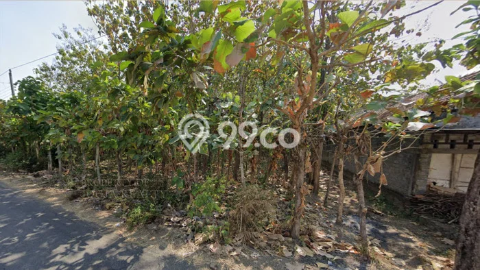 Lahan Kosong Dijual di Klaten Utara, Klaten, Luas 1890m2 Area Strategis Lahan Kosong Dijual di Klaten Utara, Klaten, Luas 1890m2 Area Strategis