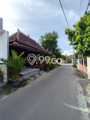 Rumah Luas Asri 3 KT Siap Pakai di Plered Bantul Rumah Luas Asri 3 KT Siap Pakai di Plered Bantul