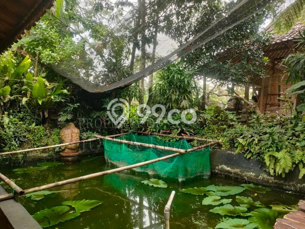 For Sale! Vila di Cangkringan, Ukuran 2050m2m², Dekat ke Pusat Kota For Sale! Vila di Cangkringan, Ukuran 2050m2m², Dekat ke Pusat Kota