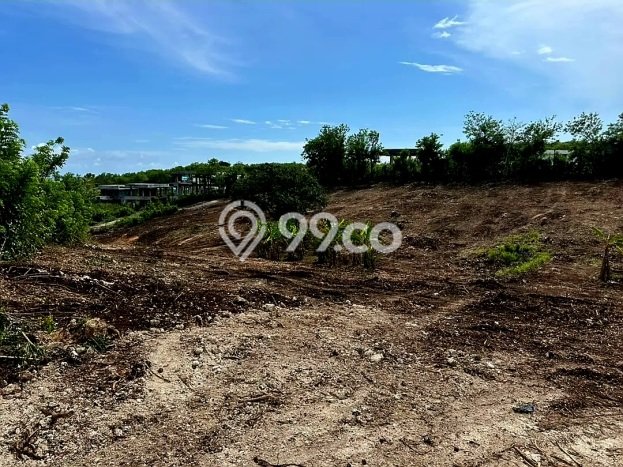 Dijual Tanah di Badung, Luas 2000m2 SHM Dijual Tanah di Badung, Luas 2000m2 SHM