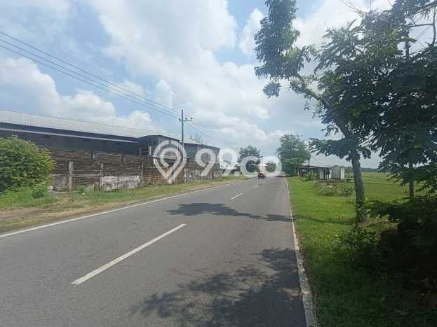 Lahan Kosong Dijual di Lengkong, Nganjuk, Luas 2324m2 Area Strategis Lahan Kosong Dijual di Lengkong, Nganjuk, Luas 2324m2 Area Strategis