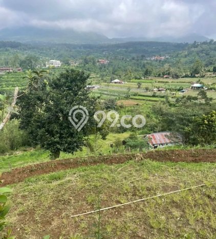 Tanah Kavling Dijual di Lodtunduh, Gianyar dengan Luas Tanah 568m2 Tanah Kavling Dijual di Lodtunduh, Gianyar dengan Luas Tanah 568m2
