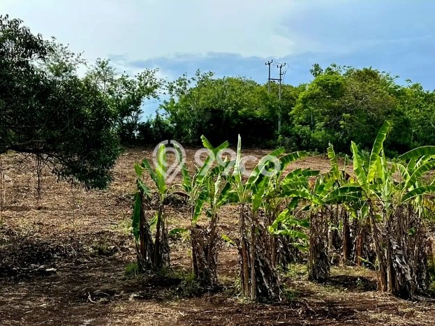 Dijual Tanah di Badung, Luas 2000m2 SHM Dijual Tanah di Badung, Luas 2000m2 SHM