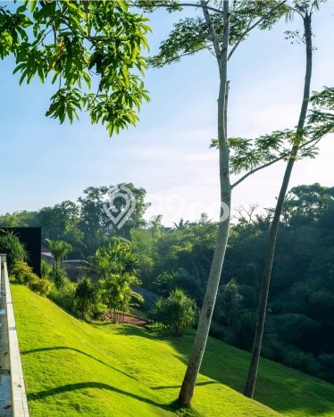 Vila Potensial Kawasan Tabanan, Luas 3000m², Dekat mudah Tabanan, Tabanan, Tabanan Vila Potensial Kawasan Tabanan, Luas 3000m², Dekat mudah Tabanan, Tabanan, Tabanan