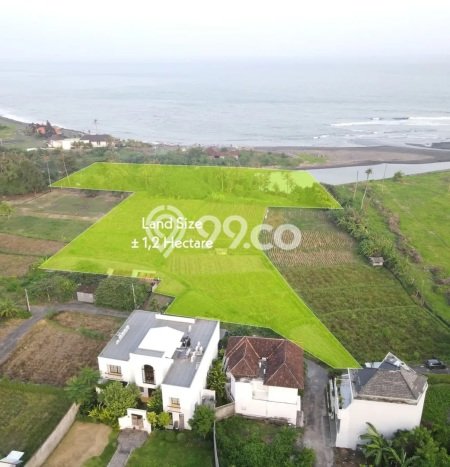 Tanah Dijual di Gianyar Seluas 12000m2 Strategis Tanah Dijual di Gianyar Seluas 12000m2 Strategis