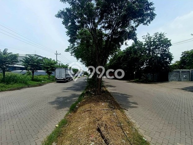 Tanah Strategis Dijual di Manyar Gresik 1940m2 Tanah Strategis Dijual di Manyar Gresik 1940m2
