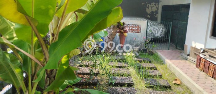 For Sale Rumah Mewah Exclusive di Sukolilo, Surabaya For Sale Rumah Mewah Exclusive di Sukolilo, Surabaya