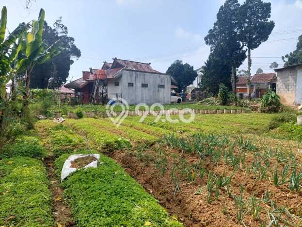 LOKASI STRATEGIS! Vila di Rancabali, Dimensi 1200m2m², View Indah sekitar LOKASI STRATEGIS! Vila di Rancabali, Dimensi 1200m2m², View Indah sekitar