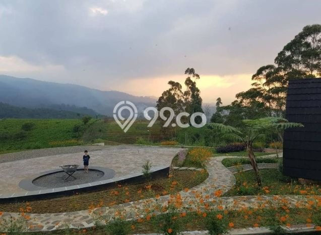 Tanah Dijual Lokasi Pasirjambu, Bandung dengan Luas Tanah 28500m2 dan Status SHM Tanah Dijual Lokasi Pasirjambu, Bandung dengan Luas Tanah 28500m2 dan Status SHM
