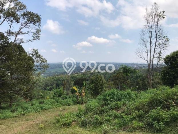 Tanah Dijual Lokasi Karanganyar, Karanganyar Luas 72000m2 Legalitas Aman Tanah Dijual Lokasi Karanganyar, Karanganyar Luas 72000m2 Legalitas Aman