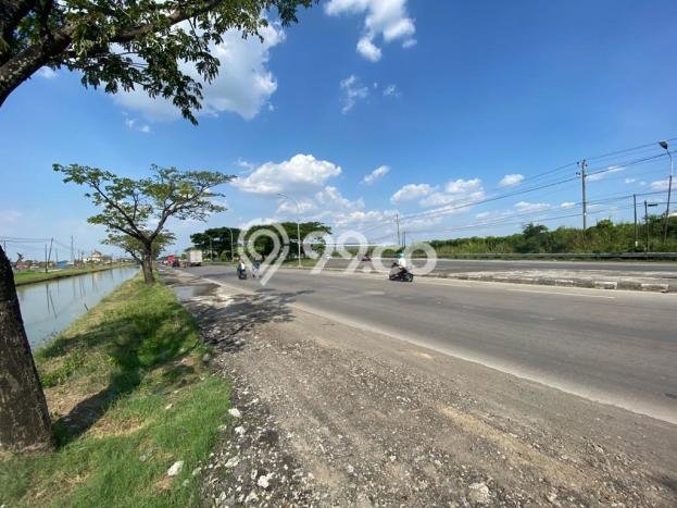 Tanah Kosong Dijual di Demak dengan Area 100000m2 Tanah Kosong Dijual di Demak dengan Area 100000m2
